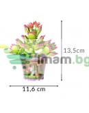 Комплект строителни блокове лего с 3D мотиви, цвете 172 броя